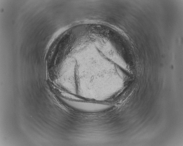 X0000076101223200610152335