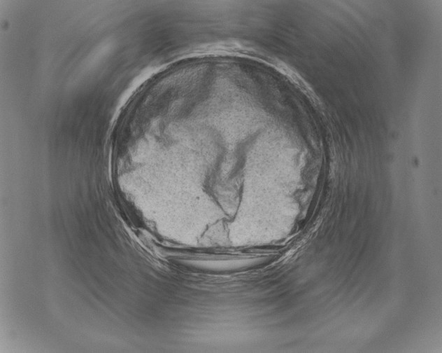 X0000076101224200610152335