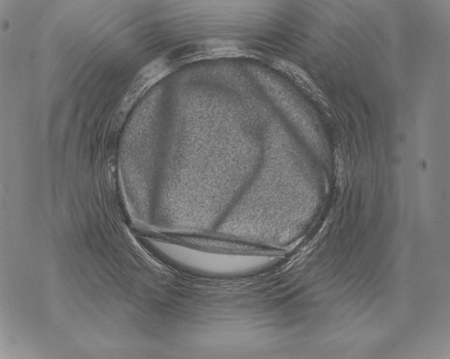 X0000076101225200610152335