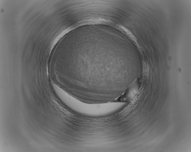 X0000076101226200610152335