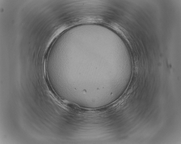 X0000076101227200610152335