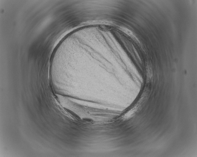 X0000076101228200610152335