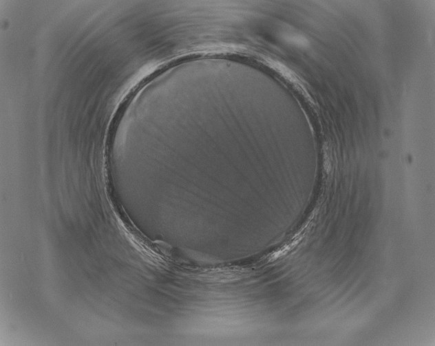 X0000076101229200610152335