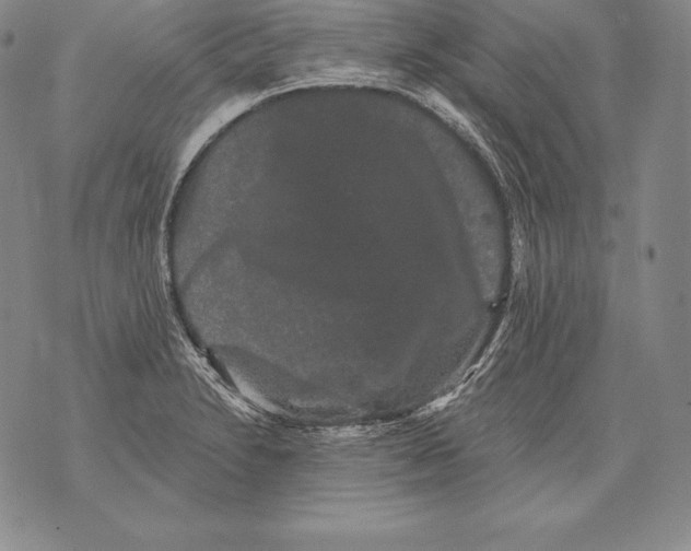 X0000076101230200610152335