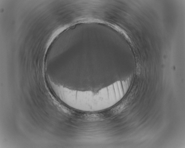 X0000076101231200610152335