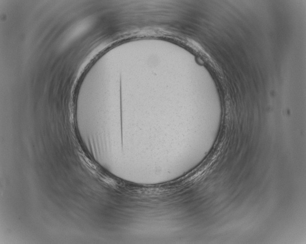 X0000076101232200610152335