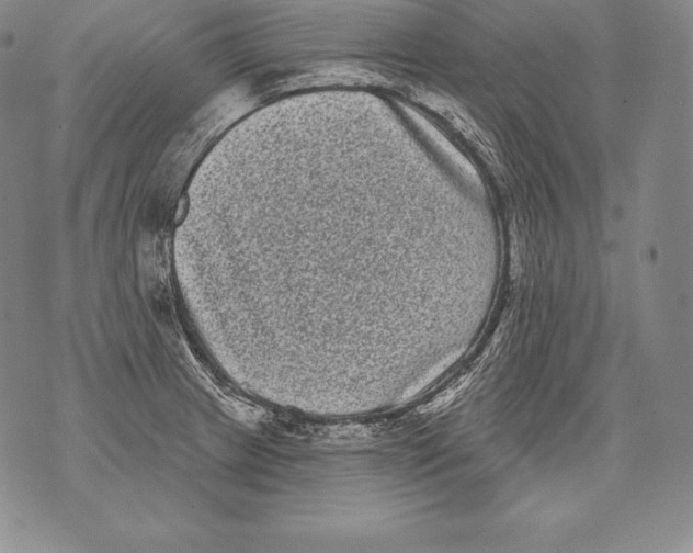 X0000076101233200610152335