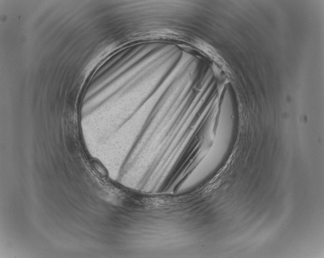 X0000076101234200610152335