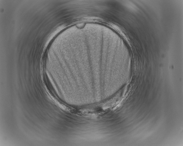 X0000076101235200610152335