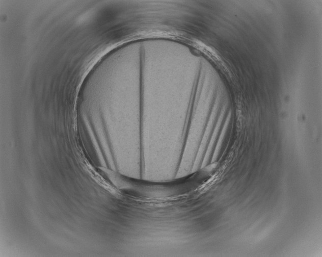 X0000076101236200610152335