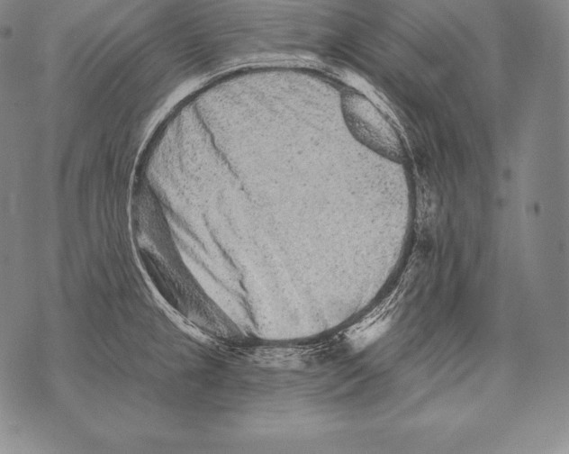 X0000076101237200610152335