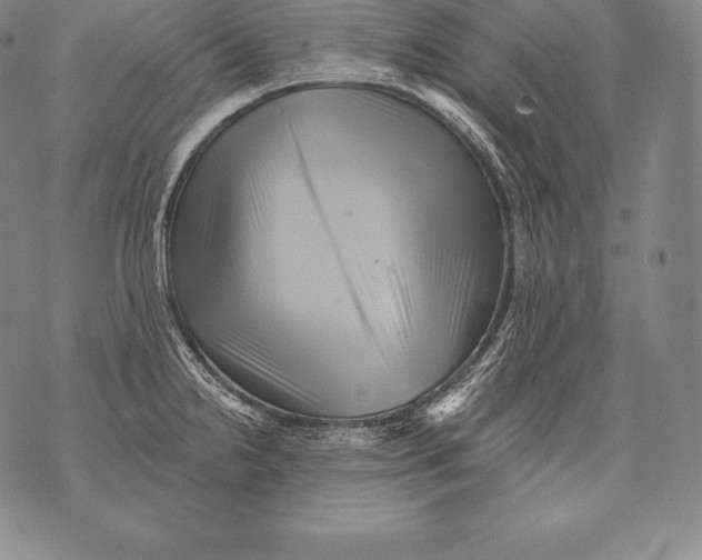 X0000076101238200610152335