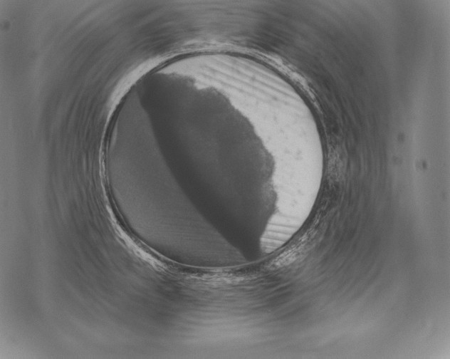 X0000076101239200610152335