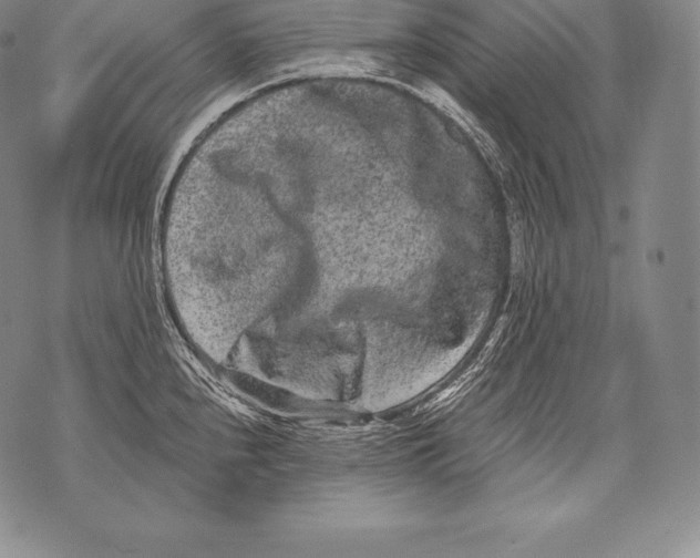 X0000076101240200610152335