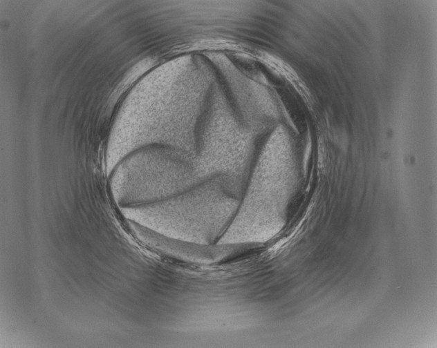 X0000076101241200610152335