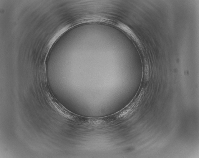 X0000076101242200610152335