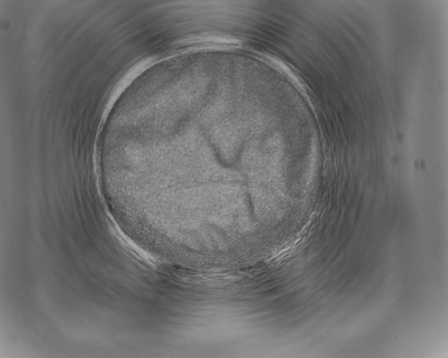 X0000076101243200610152335