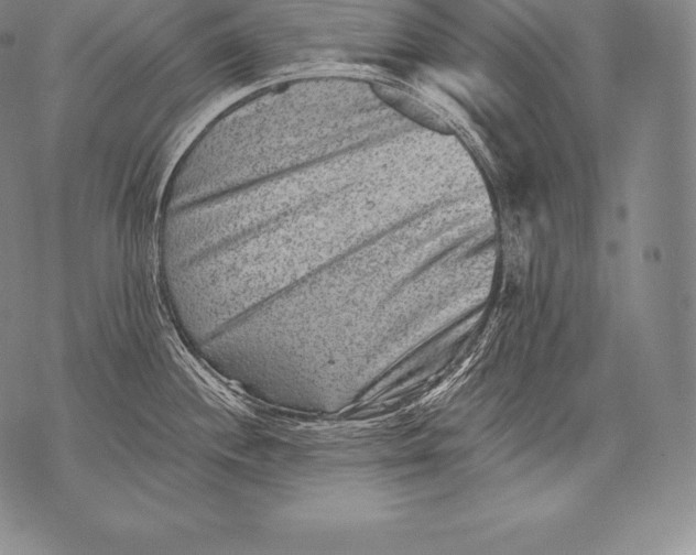 X0000076101244200610152335