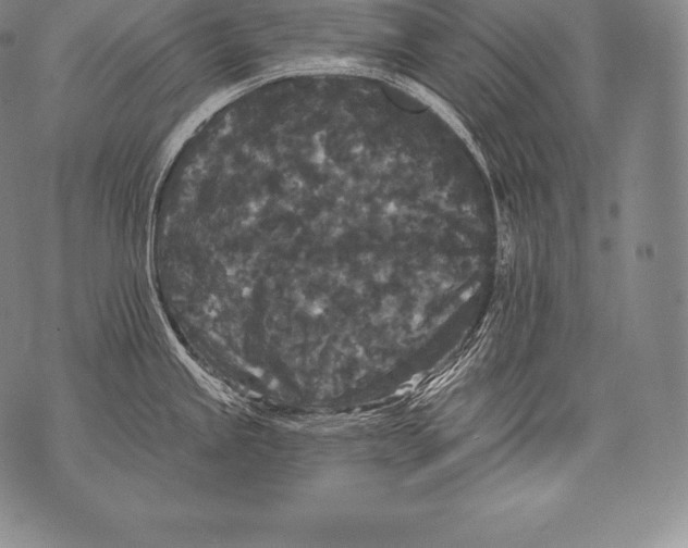 X0000076101245200610152335