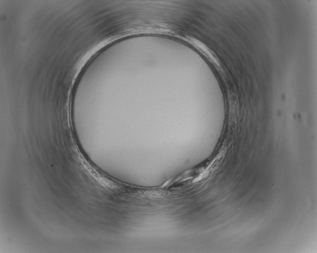 X0000076101246200610152335