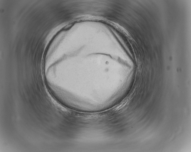 X0000076101247200610152335