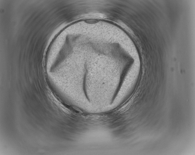 X0000076101248200610152335