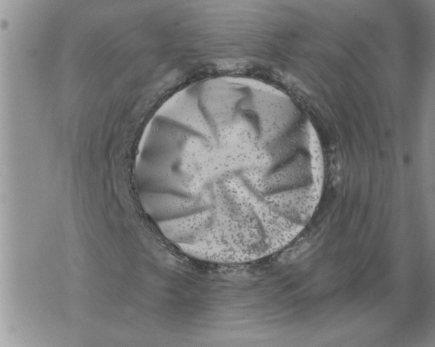 X0000076101249200610152335