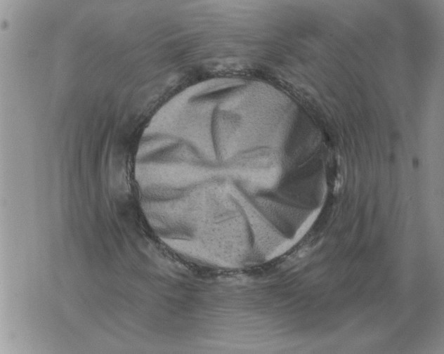 X0000076101250200610152335