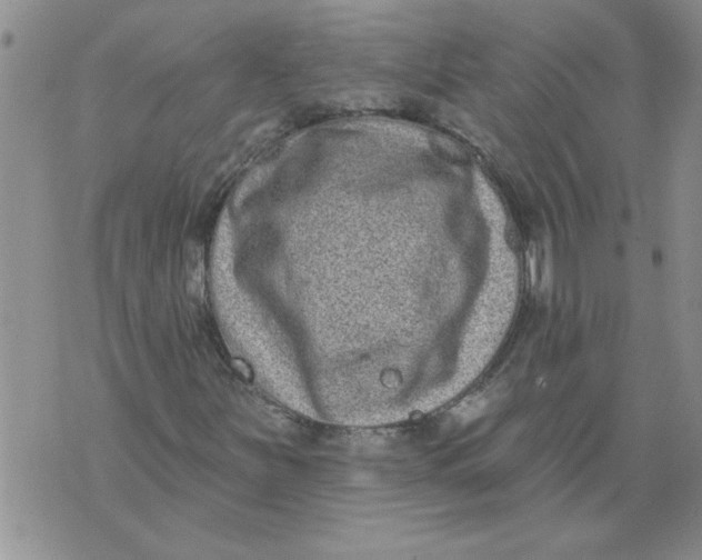 X0000076101251200610152335