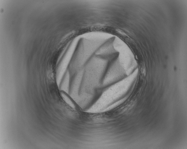 X0000076101252200610152335