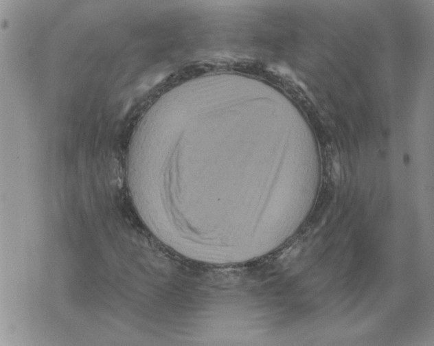 X0000076101253200610152335