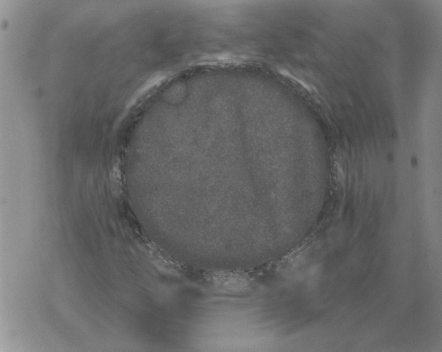 X0000076101254200610152334