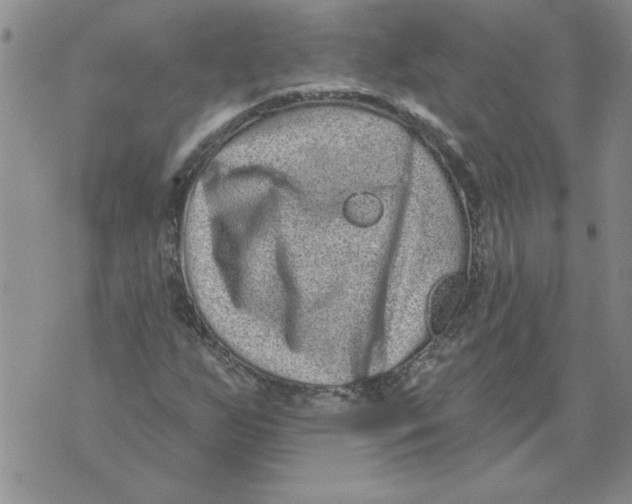 X0000076101255200610152334