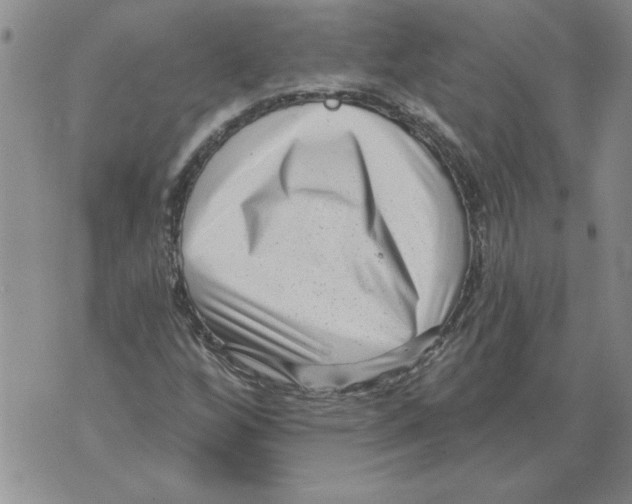 X0000076101256200610152334