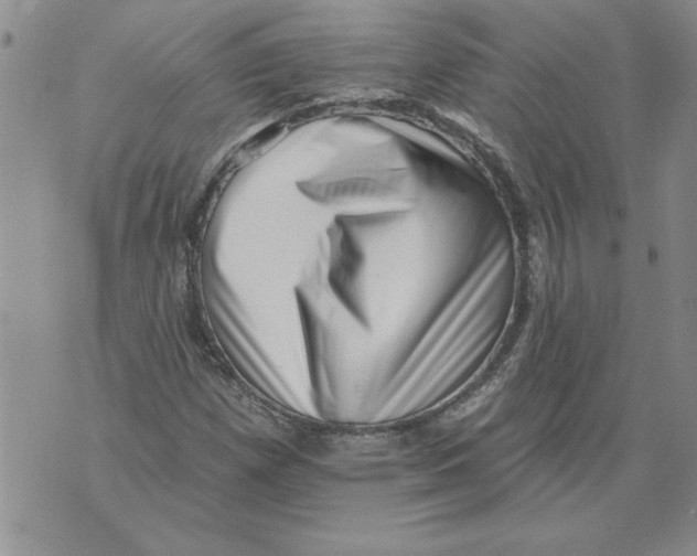 X0000076101257200610152334