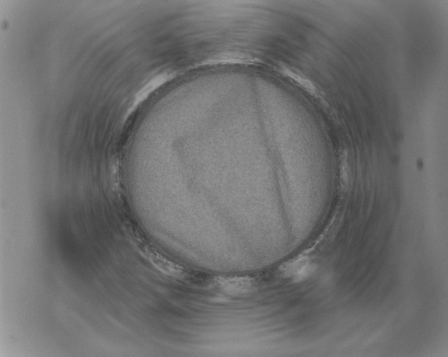 X0000076101258200610152334