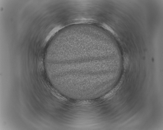 X0000076101259200610152334