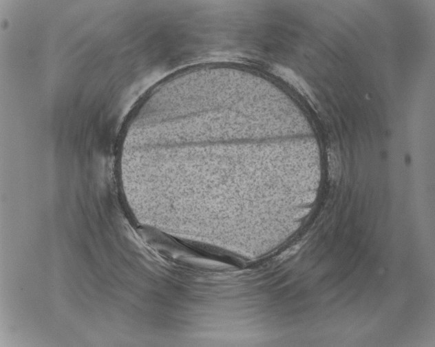 X0000076101260200610152334