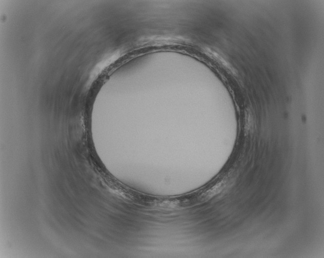 X0000076101261200610152334