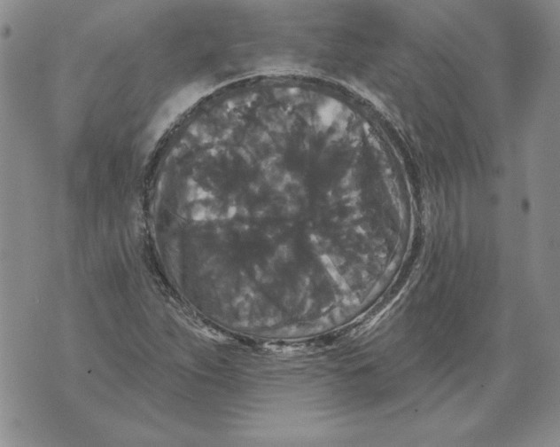 X0000076101263200610152334