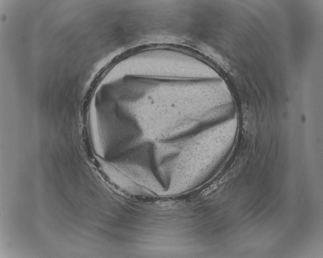 X0000076101264200610152334