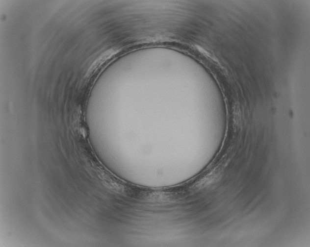 X0000076101265200610152334