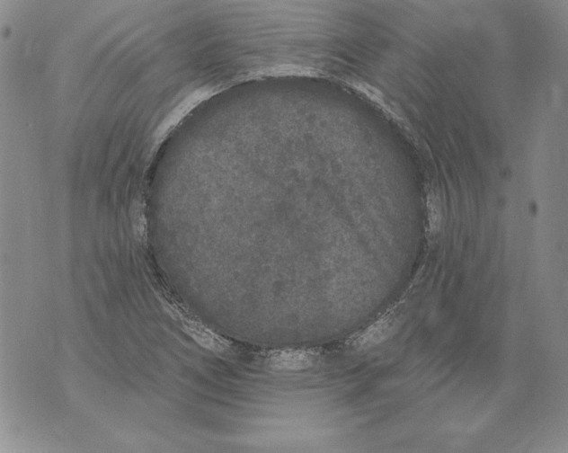 X0000076101266200610152334