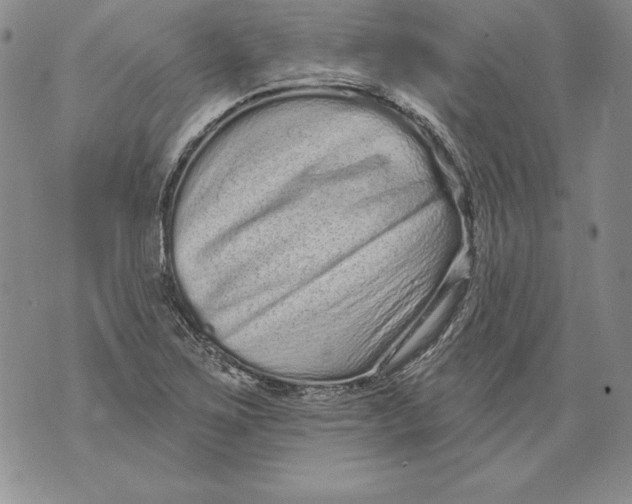 X0000076101267200610152334