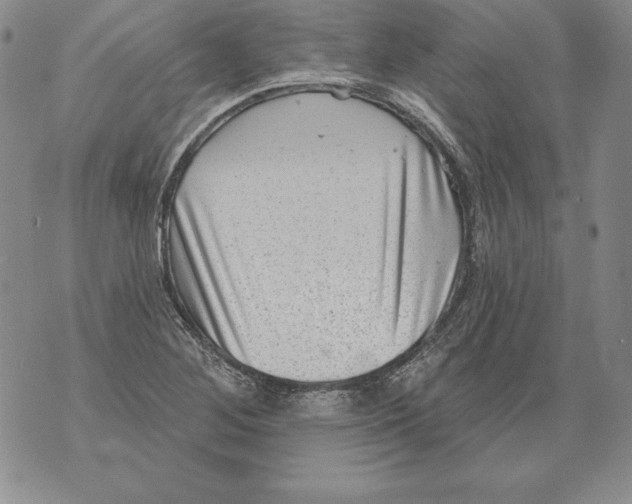 X0000076101268200610152334