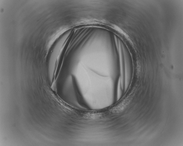 X0000076101269200610152334