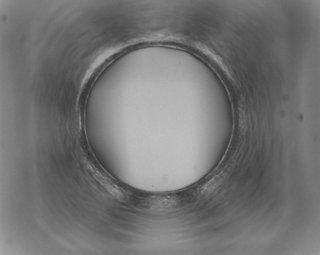 X0000076101270200610152334