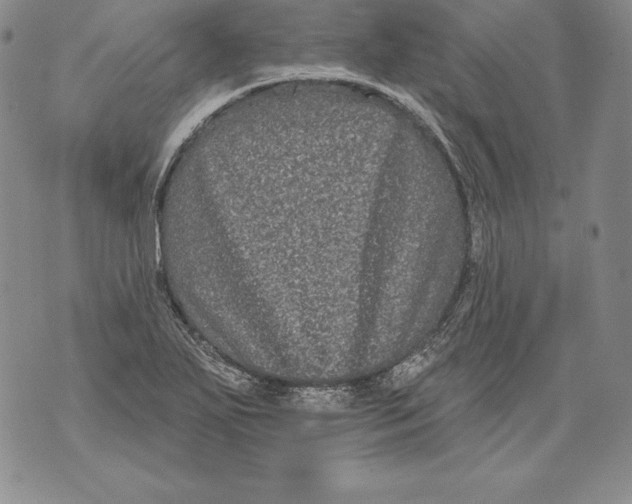 X0000076101271200610152334