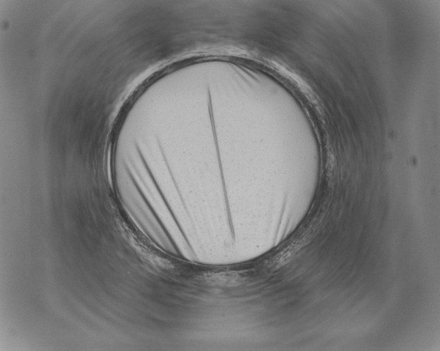 X0000076101272200610152334