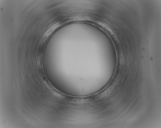 X0000076101273200610152334